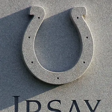 Robert Irsay profile photo
