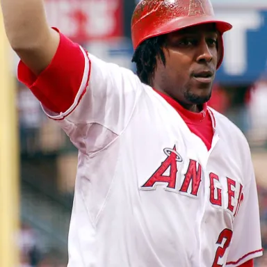 Vladimir Guerrero profile photo