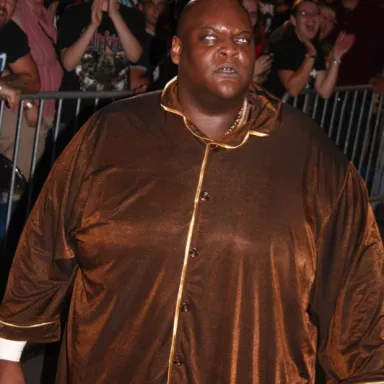 Viscera (wrestler) profile photo