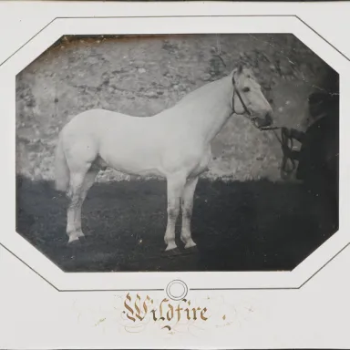 Louis-Auguste Bisson profile photo
