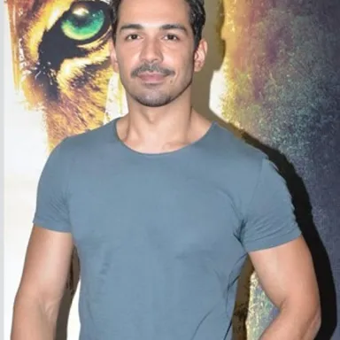 Abhinav Shukla profile photo