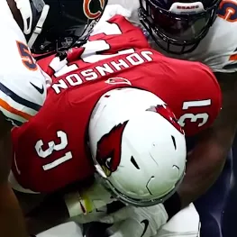 David Johnson (running back) profile photo