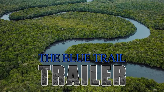 arte de The Blue Trail
