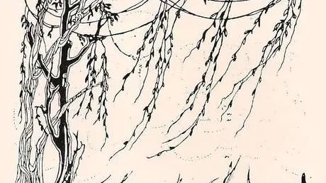 arte de No País das Amazonas