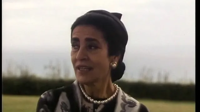 arte de Party (1996 film)