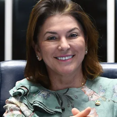 foto de perfil de Rosana Martinelli